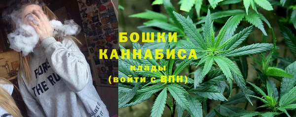 прущий лед Горно-Алтайск